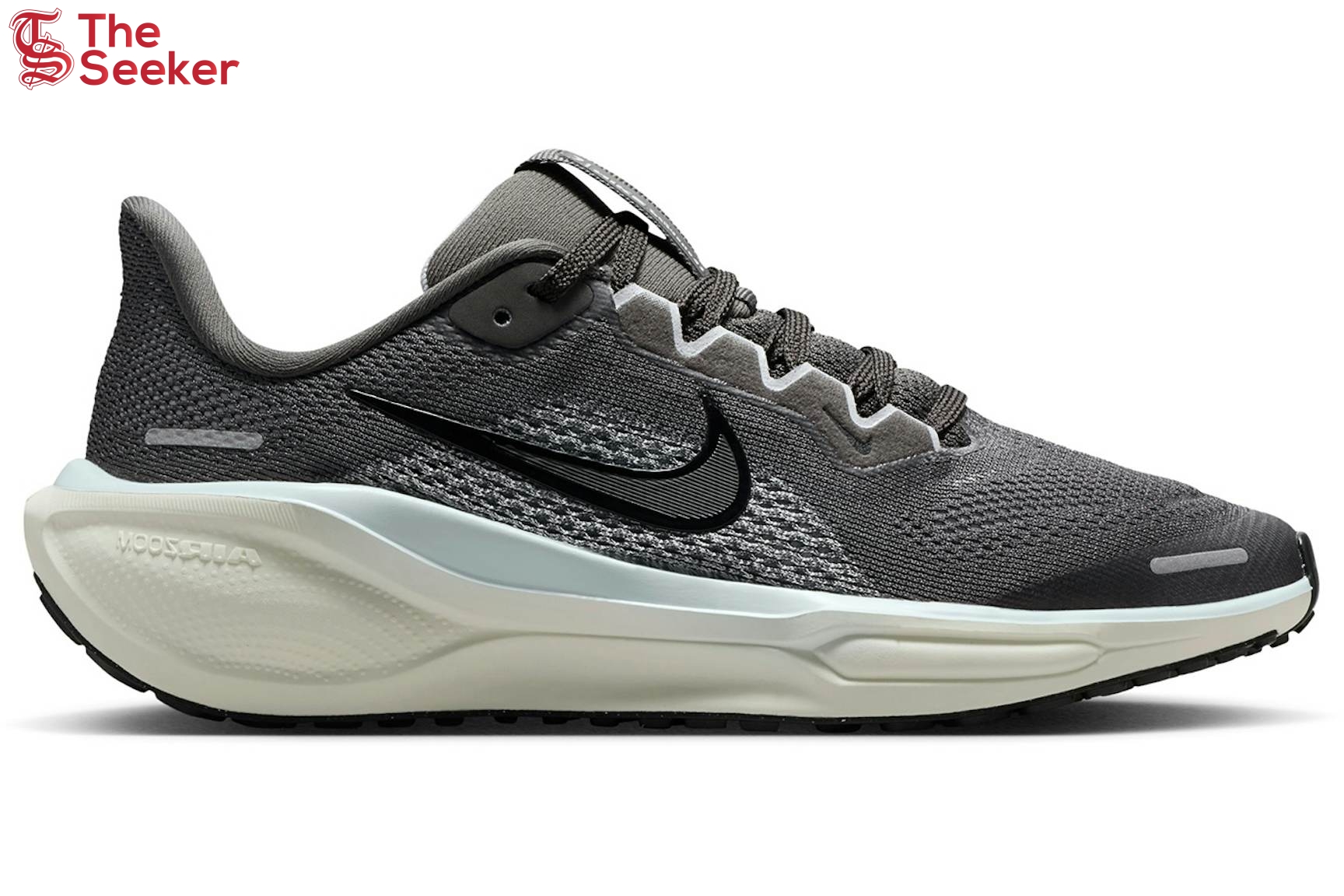 Nike-Air-Zoom-Pegasus-41-Medium-Ash-Pale-Ivory-Black-(GS)-FN5041-201