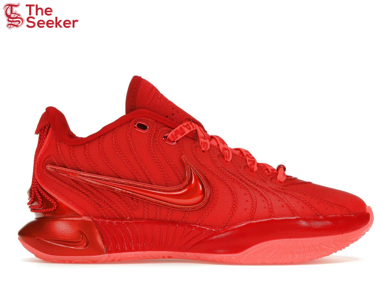 Nike LeBron 21 James Gang