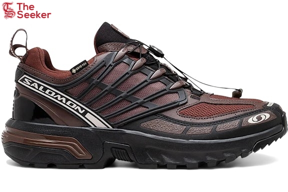 Salomon-ACS-Pro-Gore-Tex-Clay-Rum-Raisin-L47736400