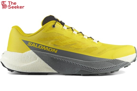 Salomon-Pulsar-Incaberry-Sedona-Sage-L47973200