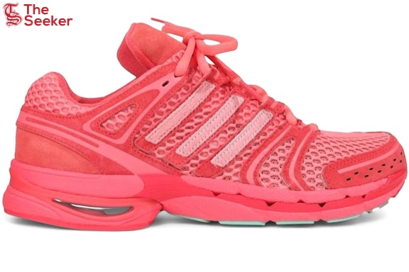 adidas-Adistar-Control-5-Unheardof-Pork-Chop-Piggy-Runner-2.0-Steve-O-KJ8363