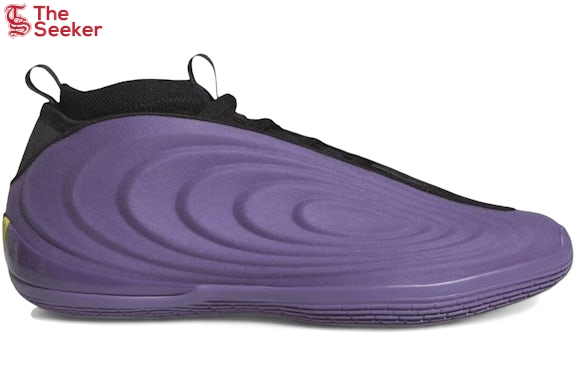 adidas-Harden-Vol.-10-Matte-Purple-JQ9426