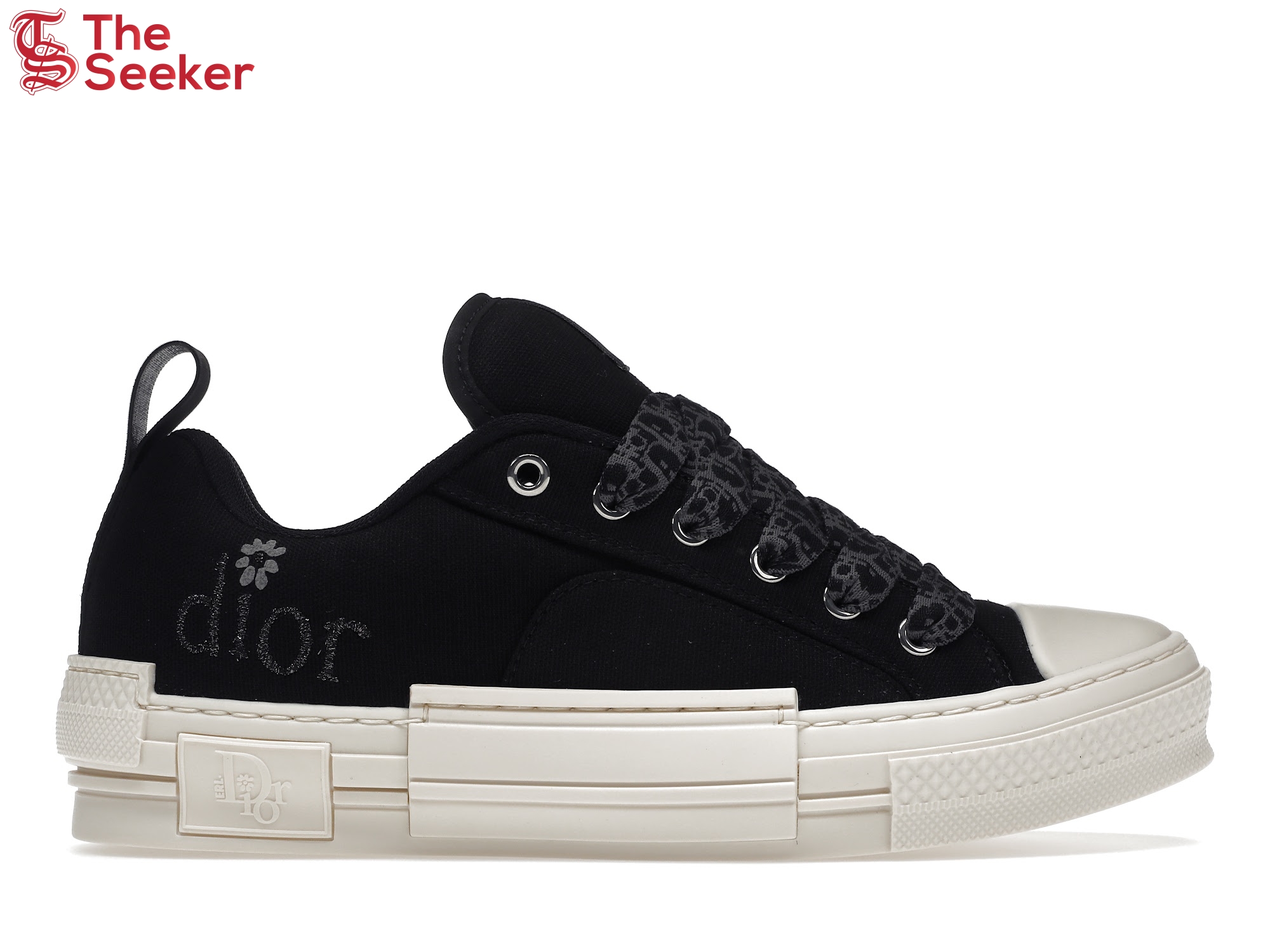 Dior B23 Skater Low Top ERL Black Cotton Canvas