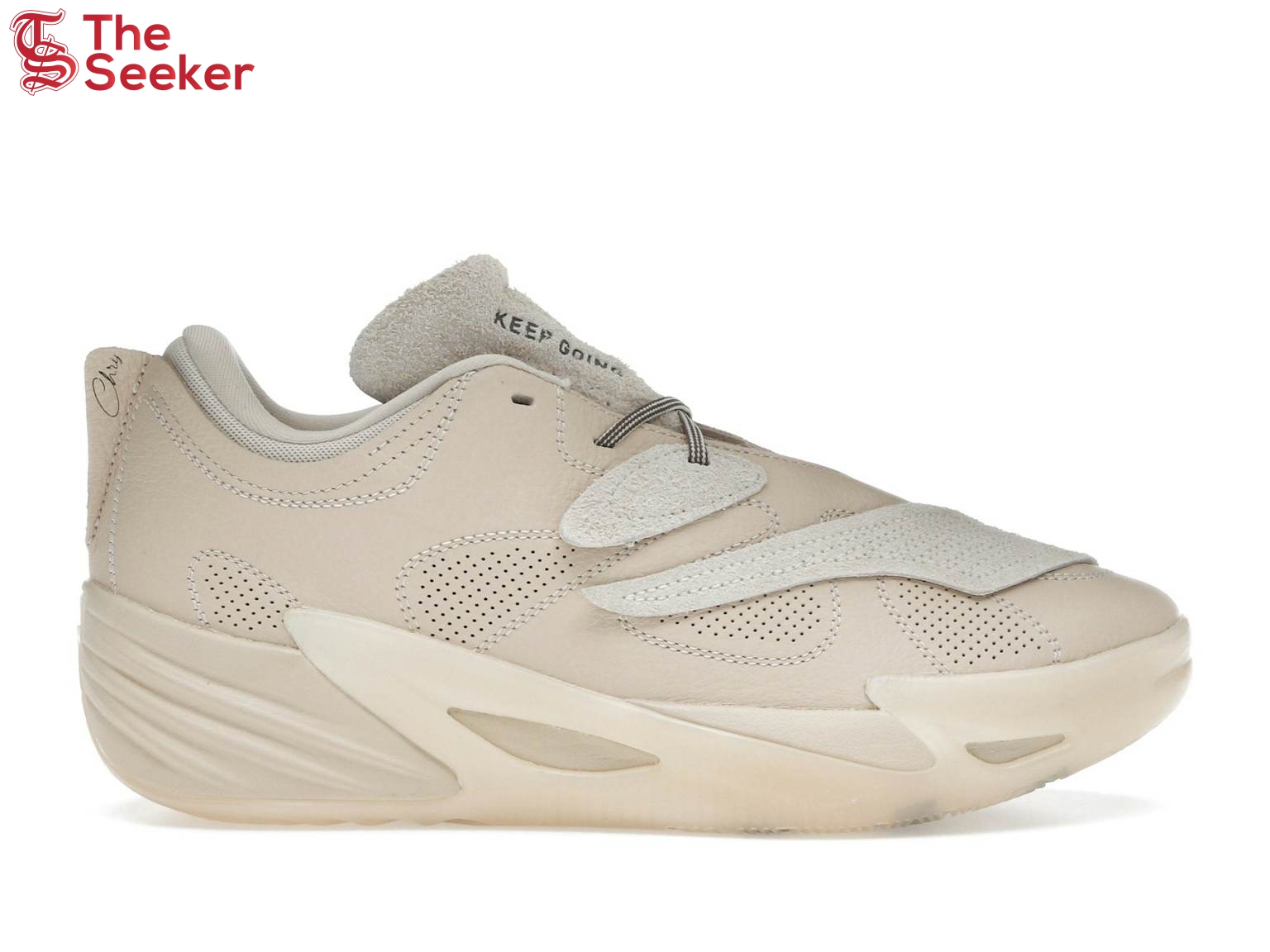 Puma-All-Pro-Nitro-2-Chris-Brickley-Canvas-312311-01