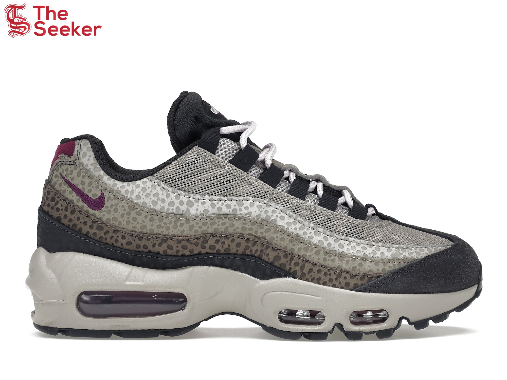 Nike Air Max 95 Viotech Anthracite (Women's)