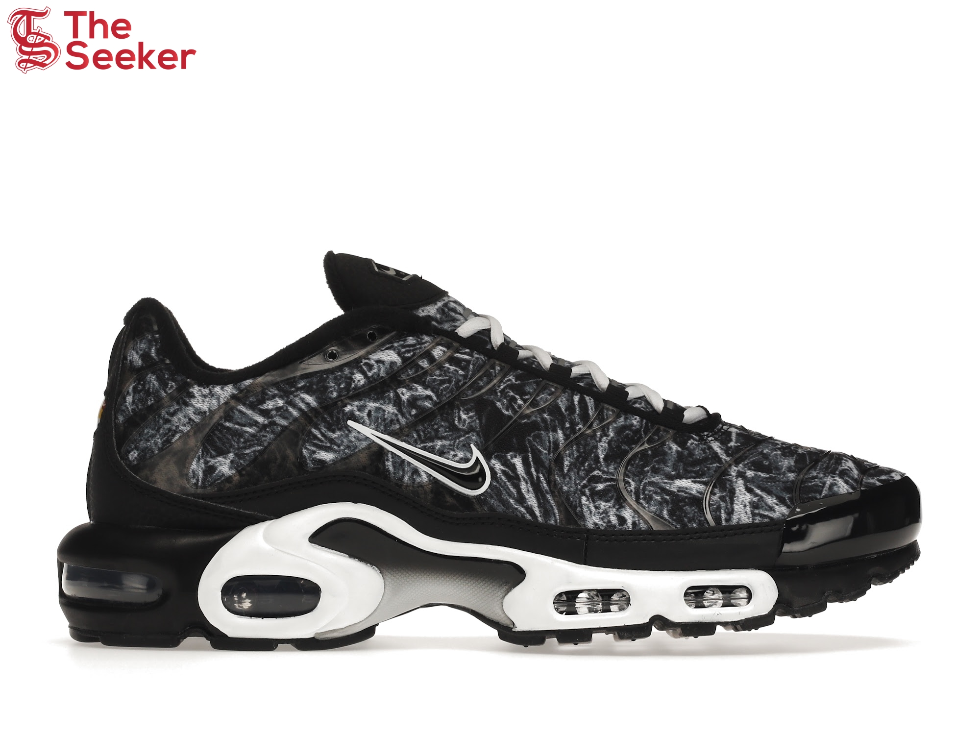 Nike Air Max Plus Dark Smoke Grey