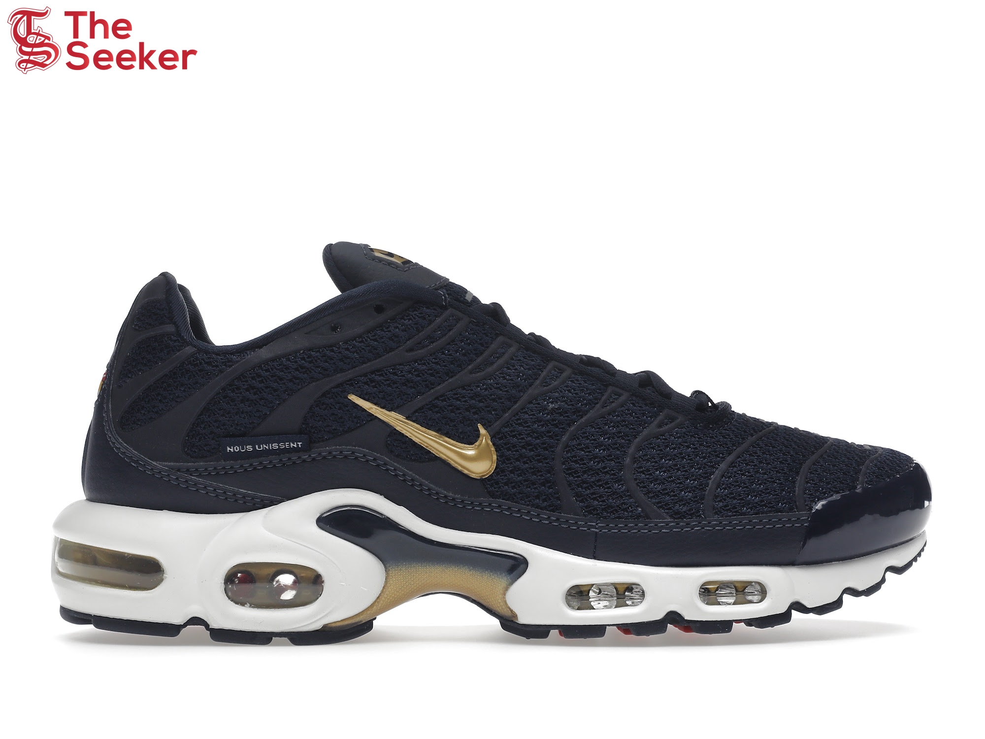 Nike Air Max Plus FFF