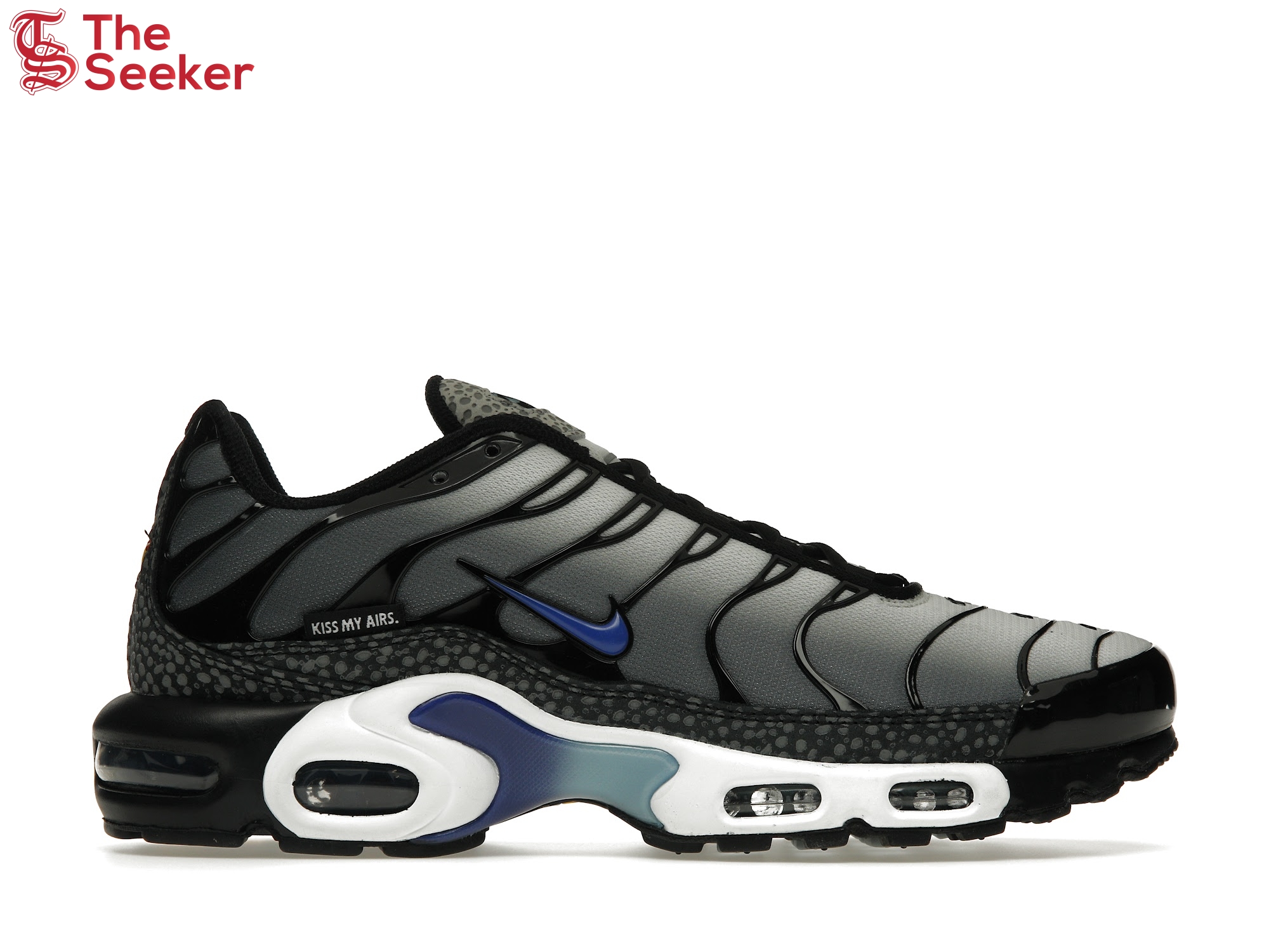 Nike Air Max Plus Kiss My Airs Metallic Silver