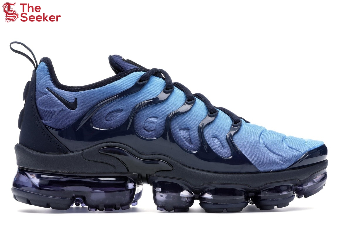 Nike Air VaporMax Plus Obsidian