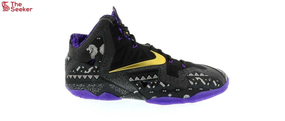 Nike LeBron 11 Black History Month