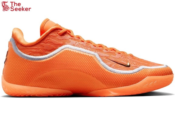 Nike-LeBron-23-Shoe-Bag-IV5647-800-/--IV5648-800