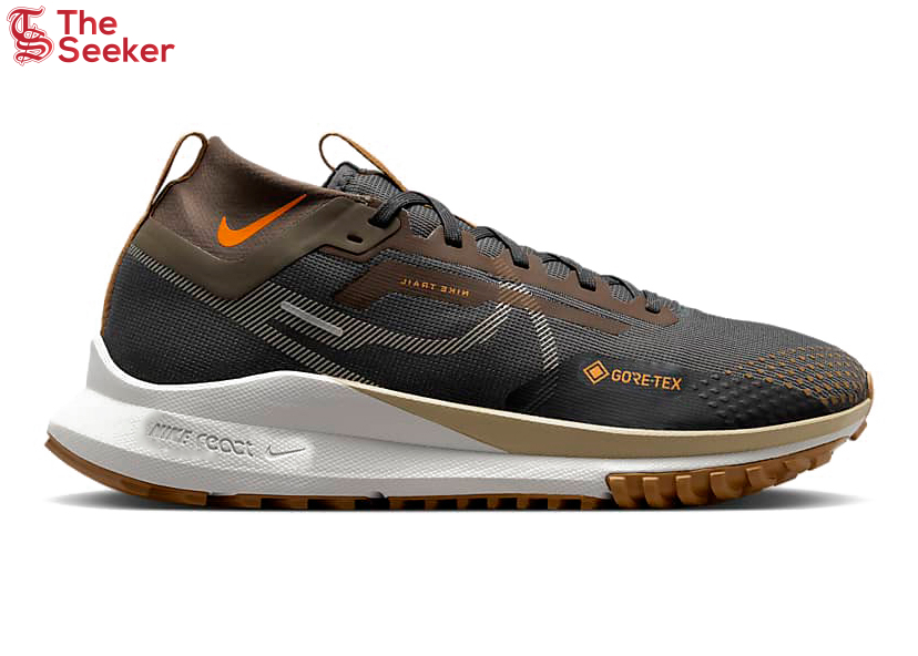 Nike Pegasus Trail 4 Gore-Tex Anthracite Ironstone