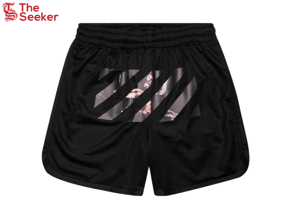 OFF-WHITE Caravaggio Arrows Mesh Shorts Black/Multicolor