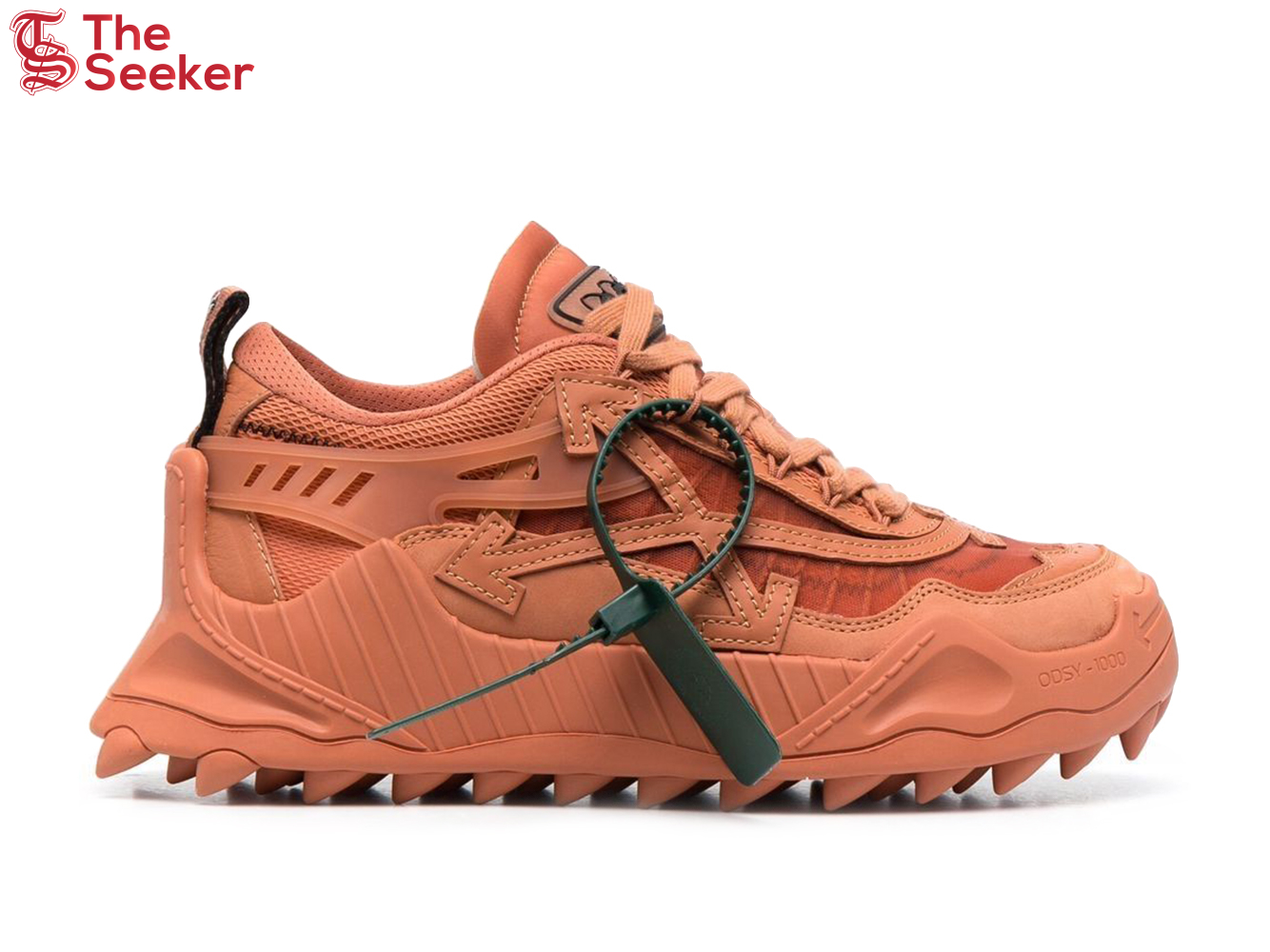 Off-White Odsy-1000 Terracotta (Women's)