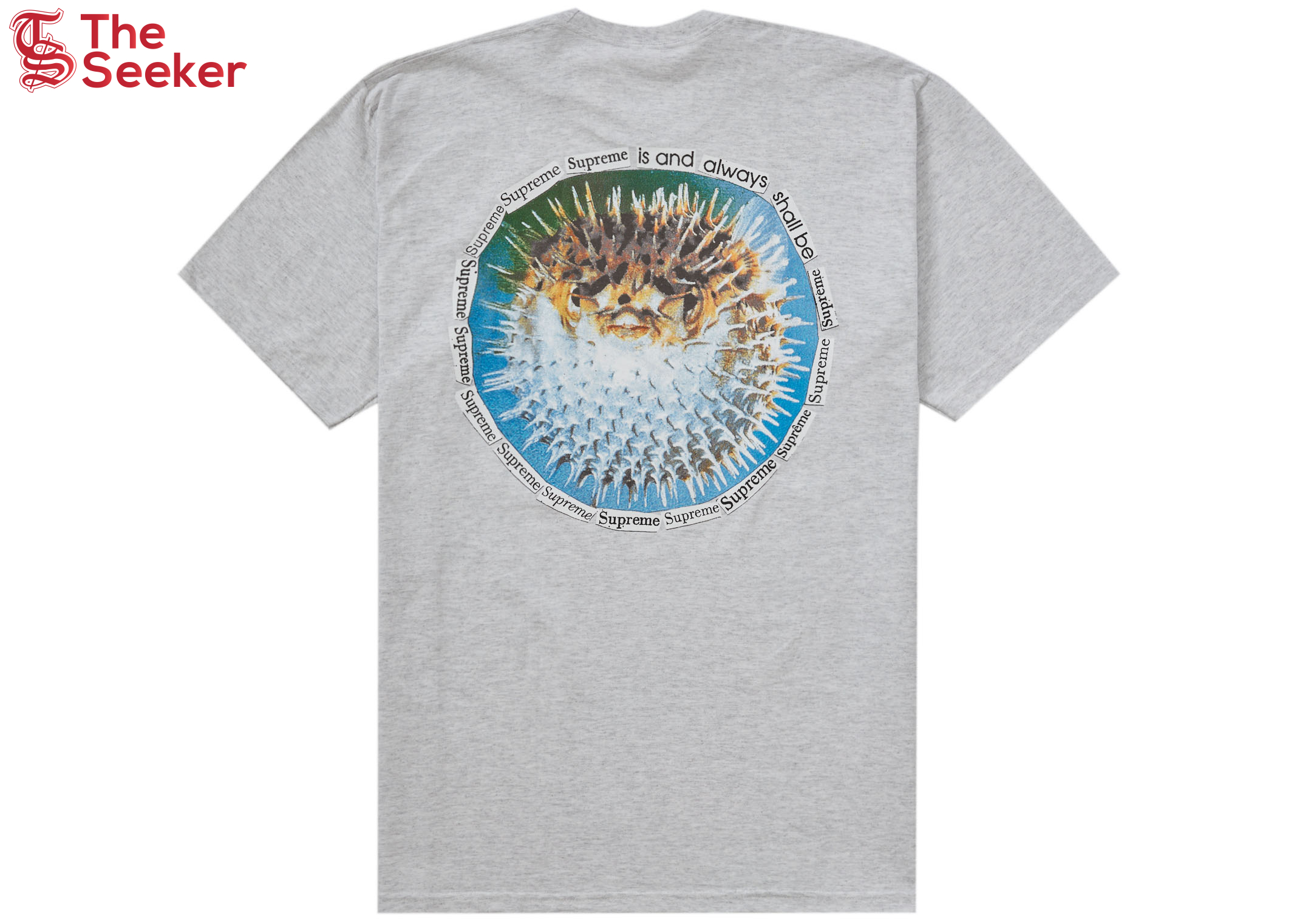 Supreme Blowfish Tee Ash Grey