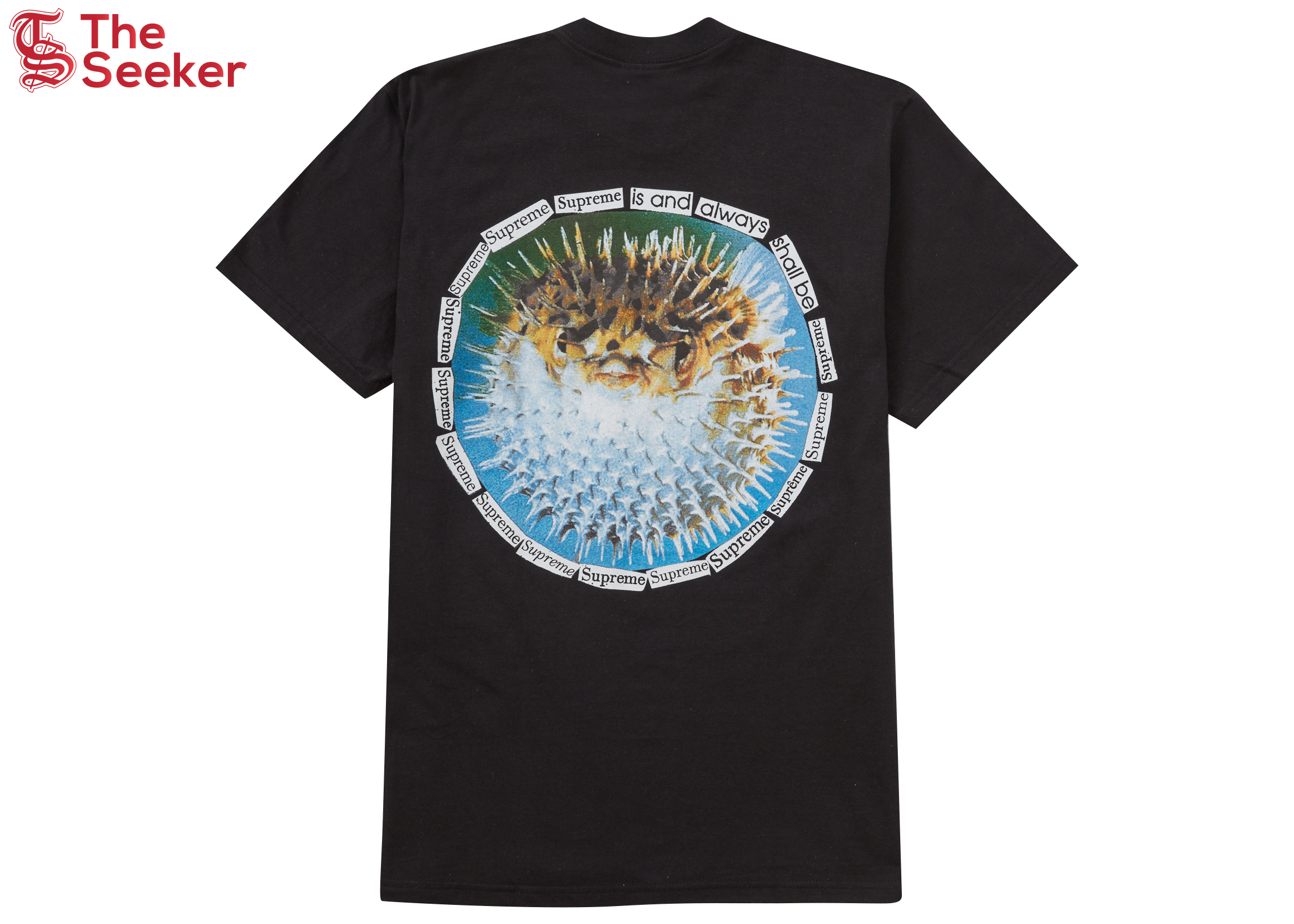 Supreme Blowfish Tee Black