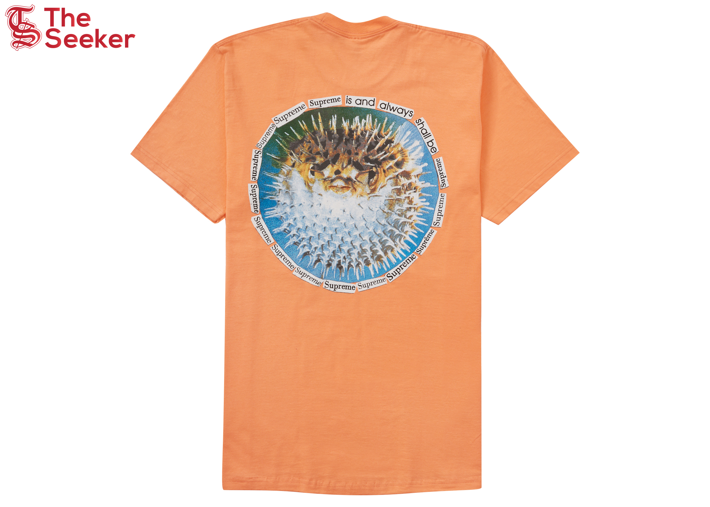 Supreme Blowfish Tee Peach