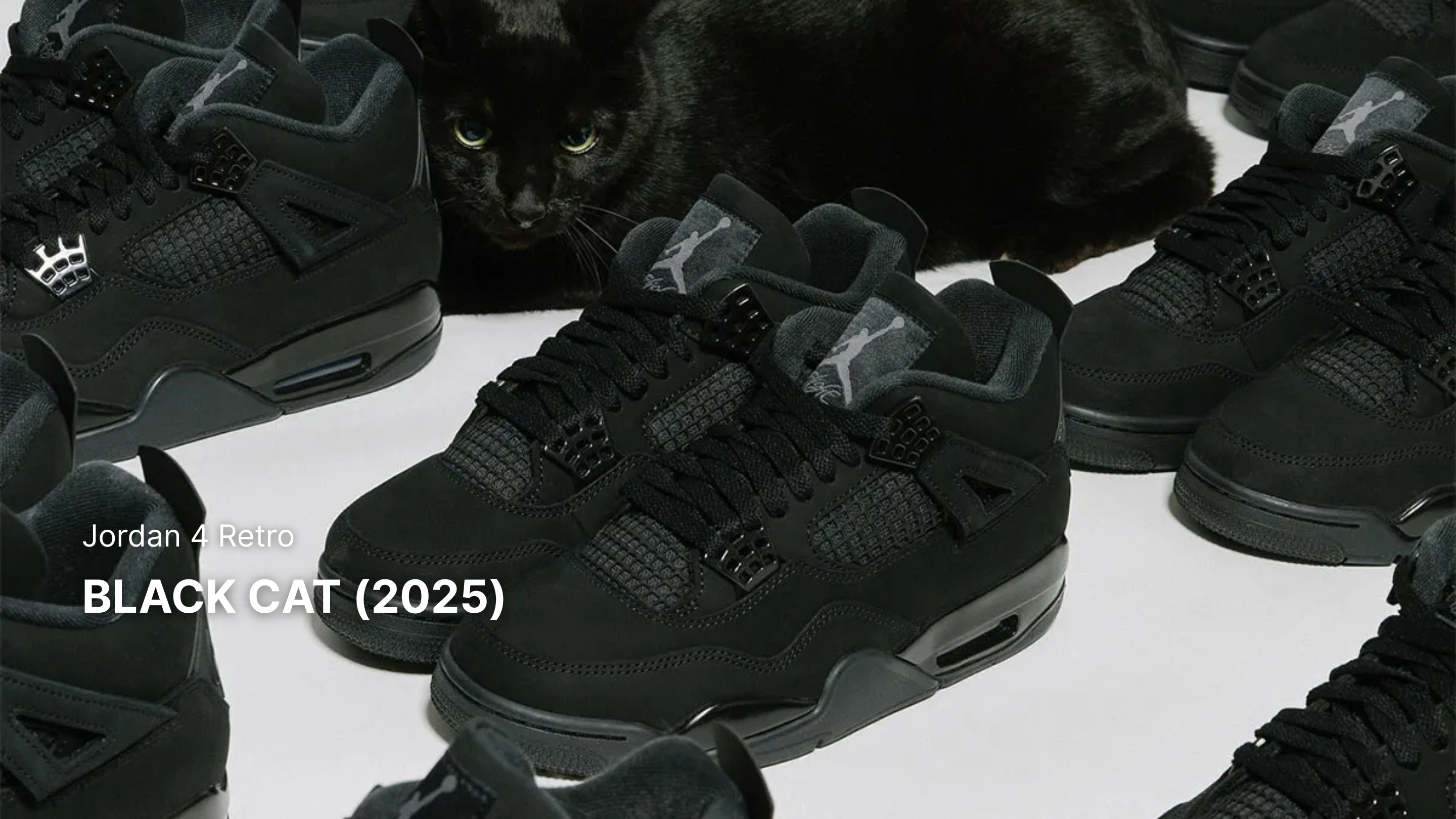 The Seeker - Giày chính hãng